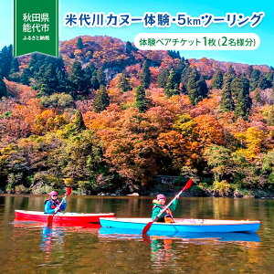 【ふるさと納税】体験 秋田 米代川 カヌー体験 5kmツーリング 1枚(2名様分) 体験チケット 体験型 返礼品 ペア チケット 券 旅行 子供 大人 スポーツ アウトドア アクティビティ 体験ギフト 体験型ギフト カヌー 観光 秋田県 能代市