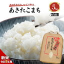 【ふるさと納税】【新米先行予約】新米 令和7年 秋田県産 あきたこまち 5kg 精米 白米 米 お米 おこめ こめ コメ 令和7年産 ブランド米 ご飯 秋田 秋田県 能代市 お届け:10月上旬頃から順次出荷予定