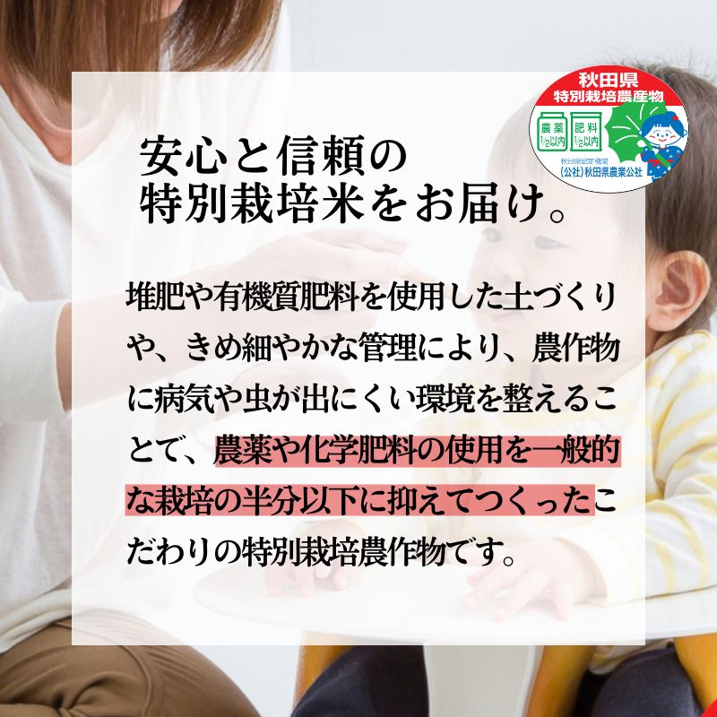 【ふるさと納税】《定期便4ヶ月》 白米 特別栽培米 秋田県産 あきたこまち 米屋が認めたお米 「かとうくん」15kg（5kg×3袋）×4回 合計60kg　お届け：2025年12月中旬頃より順次出荷予定 f052027-noshiro-10001361 秋田県能代市 サンプル画像3