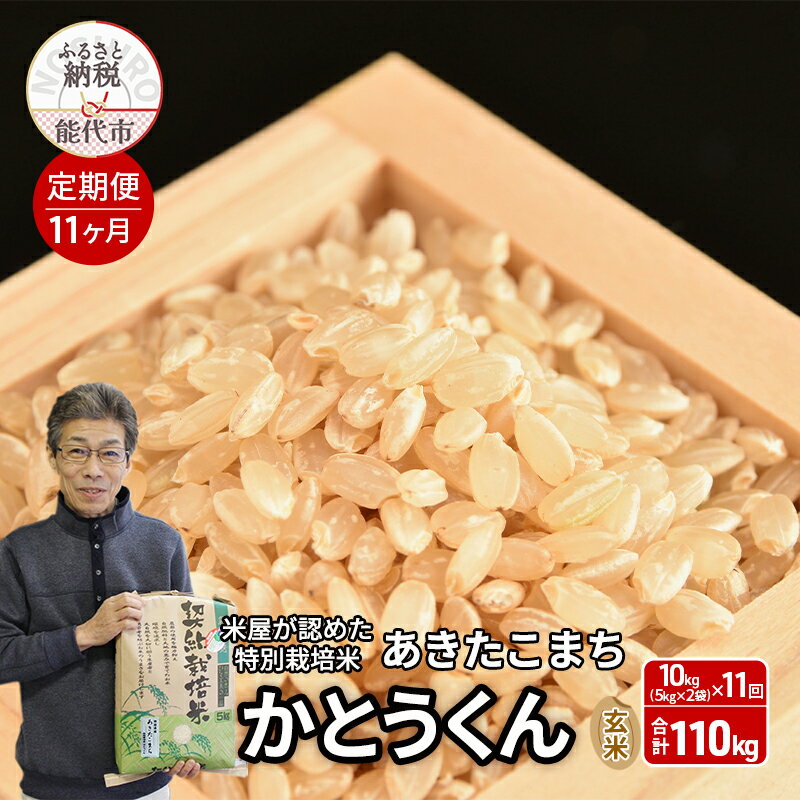 【ふるさと納税】《定期便11ヶ月》【令和7年産 新米予約】【玄米】特別栽培米 秋田県産 あきたこまち 米屋が認めたお米 「かとうくん」10kg（5kg×2袋）×11回 合計110kg　お届け：2025年12月中旬頃より順次出荷予定