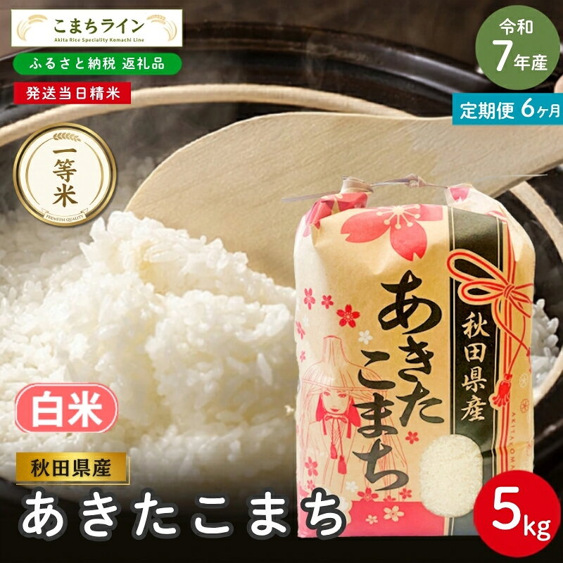 【 6回定期便 】 令和7年産 あきたこまち 白米 5kg×6回 秋田県産 米 一等米 ブランド米 30キロ 白米 精米 精米したて 一人暮らし 秋田 能代 能代市 送料無料 《こまちライン》 お届け：入金確認後、翌月中旬頃にお届けいたします。