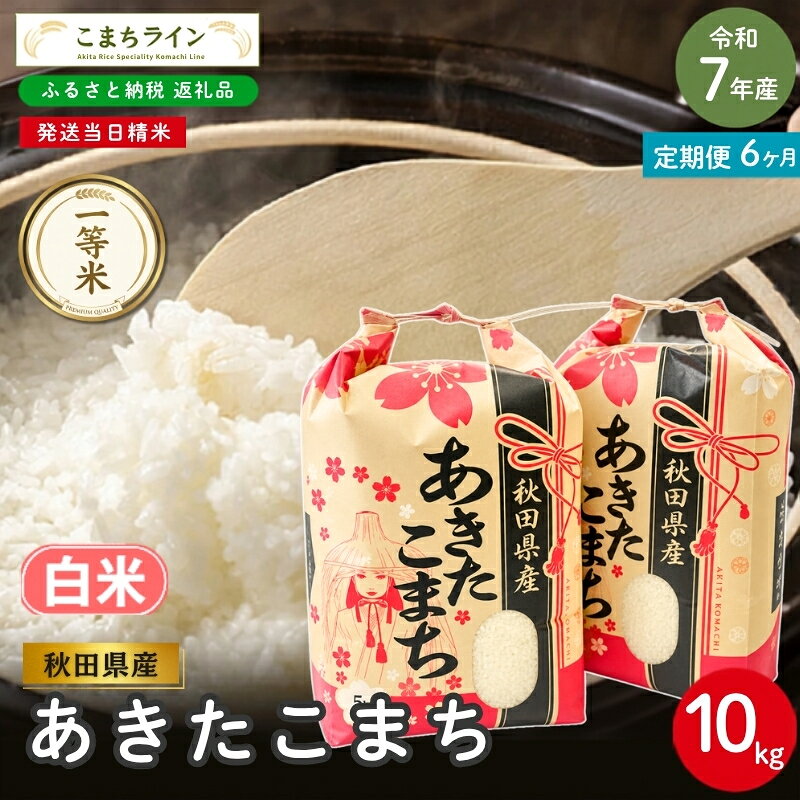 【 6回定期便 】 令和7年産 あきたこまち 白米 10kg×6回 秋田県産 米 一等米 ブランド米 60キロ 白米 精米 精米したて 一人暮らし 秋田 能代 能代市 送料無料 《こまちライン》 お届け：入金確認後、翌月中旬頃にお届けいたします。