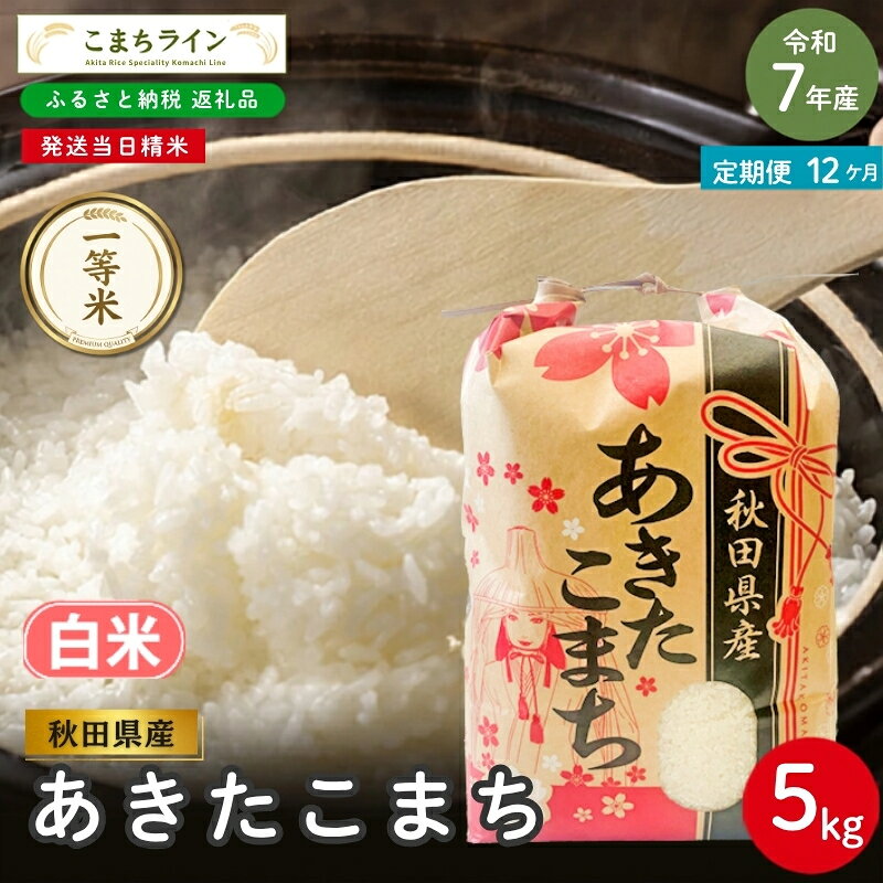 【 12回定期便 】 令和7年産 あきたこまち 白米 5kg×12回 秋田県産 米 一等米 ブランド米 60キロ 白米 精米 精米したて 一人暮らし 秋田 能代 能代市 送料無料 《こまちライン》 お届け：入金確認後、翌月中旬頃にお届けいたします。