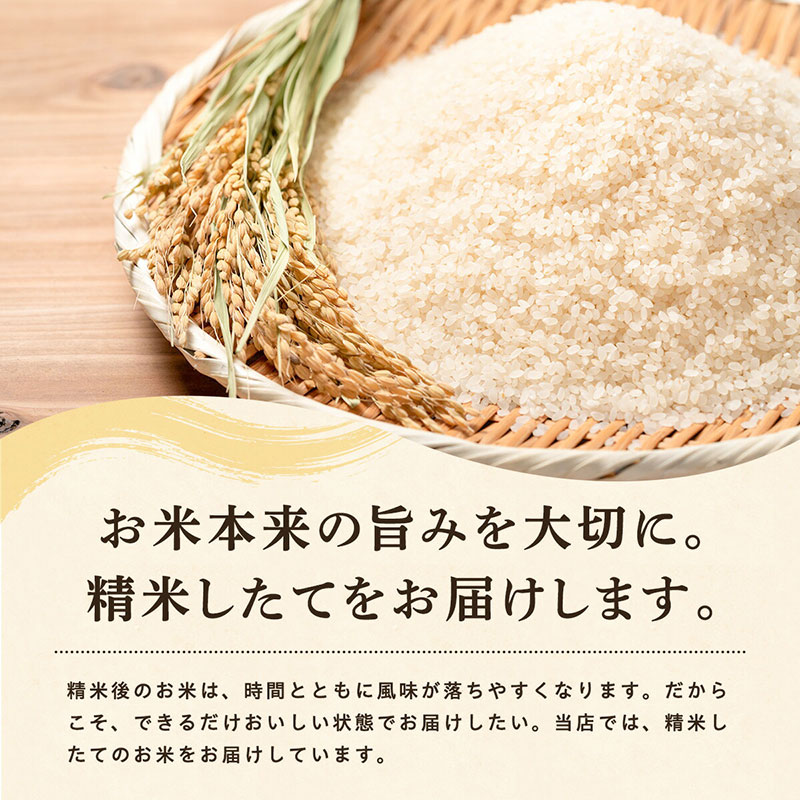 【ふるさと納税】【 3回定期便 】 令和8年産 あきたこまち 白米 27kg×3回 秋田県産 米 一等米 ブランド米 81キロ 白米 精米 精米したて 一人暮らし 秋田 能代 能代市 送料無料 《こまちライン》　お届け：初回は2週間前後、2回目以降はその1ヶ月後目安に発送 f052027-noshiro-10002036 秋田県能代市 サンプル画像3