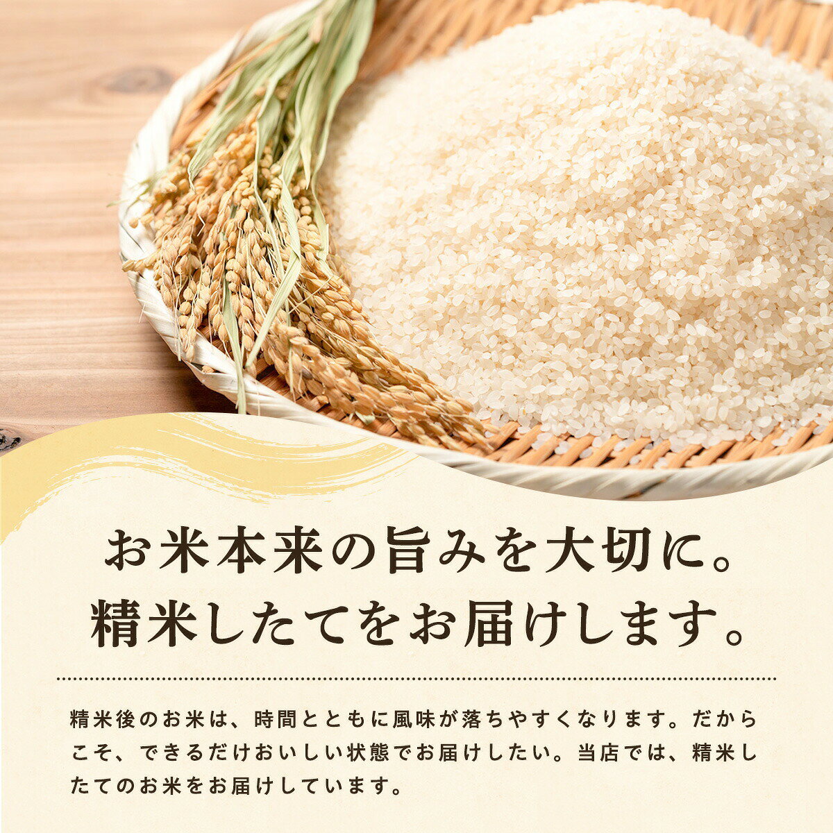 【ふるさと納税】令和8年産 あきたこまち 白米 5kg 秋田県産 米 一等米 ブランド米 5キロ 精米 精米したて 一人暮らし 秋田 能代 能代市 送料無料 《こまちライン》　お届け：《発送時期》新米収穫後、順次発送 f052027-noshiro-10001985 秋田県能代市 サンプル画像3