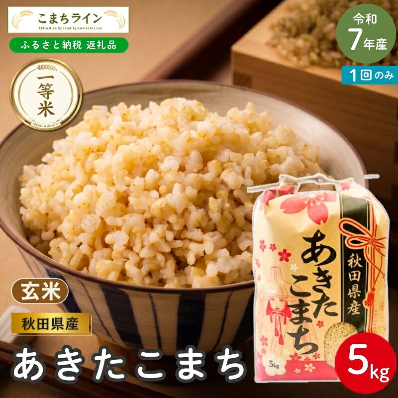 【ふるさと納税】令和7年産 あきたこまち 玄米 5kg 秋田県産 米 一等米 ブランド米 5キロ 一人暮らし 秋田 能代 能代市 送料無料 《こまちライン》
