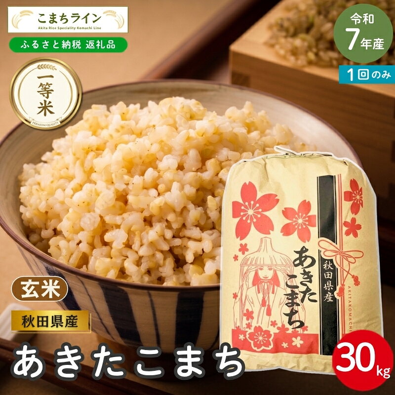 令和7年産 あきたこまち 玄米 30kg 秋田県産 米 一等米 ブランド米 30キロ 一人暮らし 秋田 能代 能代市 送料無料 [こまちライン]