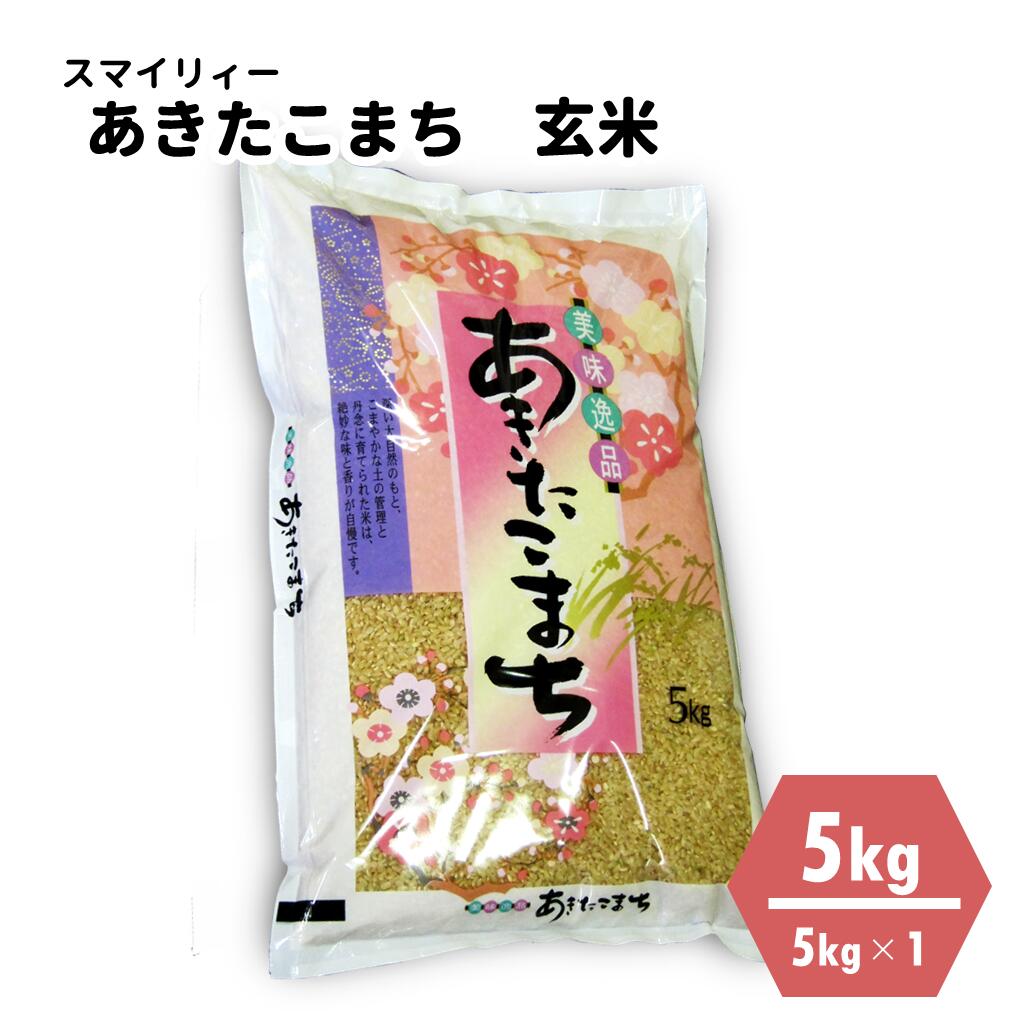 【ふるさと納税】令和4年産 あきたこまち 玄米 5kg 秋田県 能代市産 美人を育てる 秋田米のサムネイル