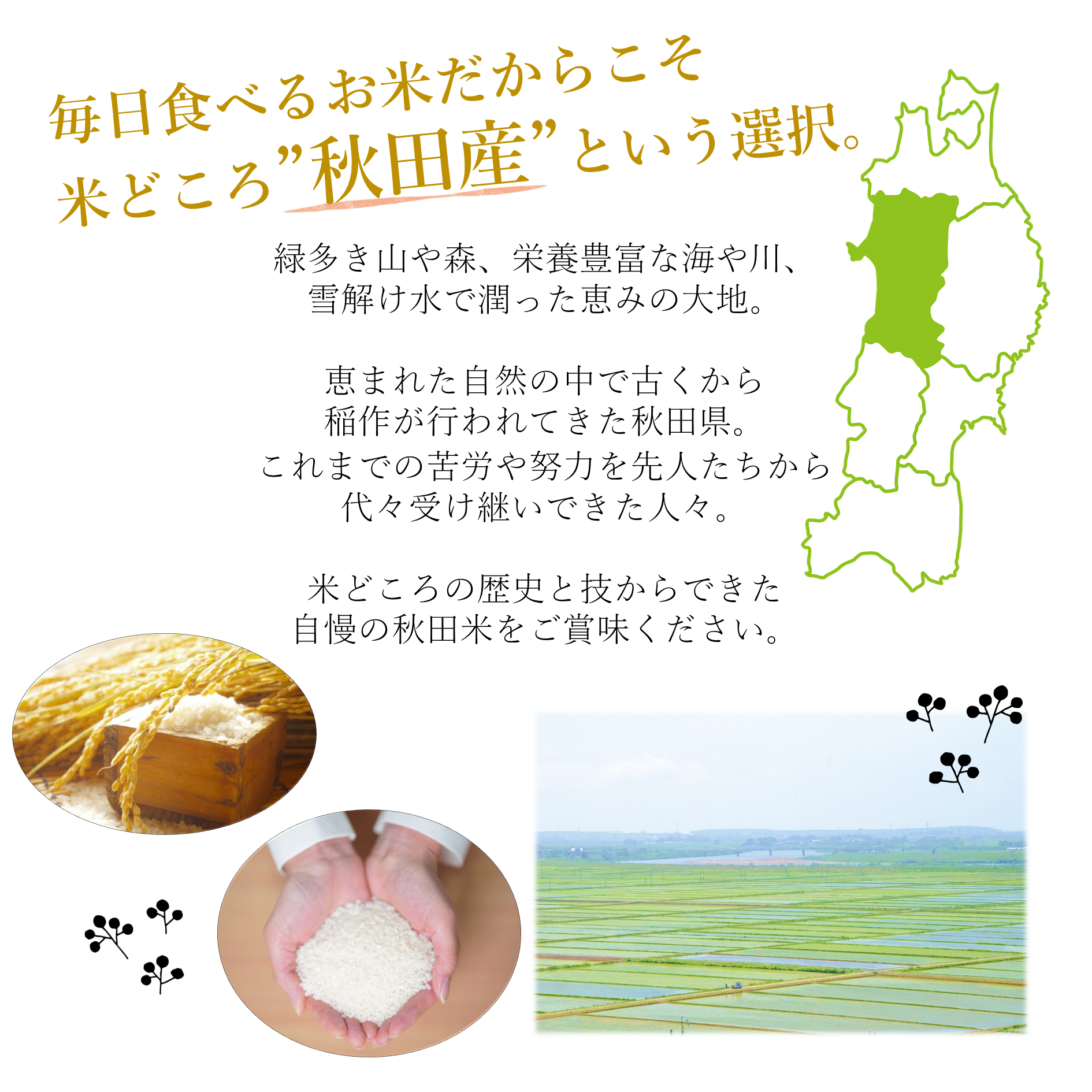 【ふるさと納税】【令和3年産米】 あきたこまち 玄米 5kg 秋田県 能代市産