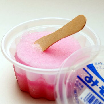 【ふるさと納税】能代名物 「マルホンのみぞれアソート」