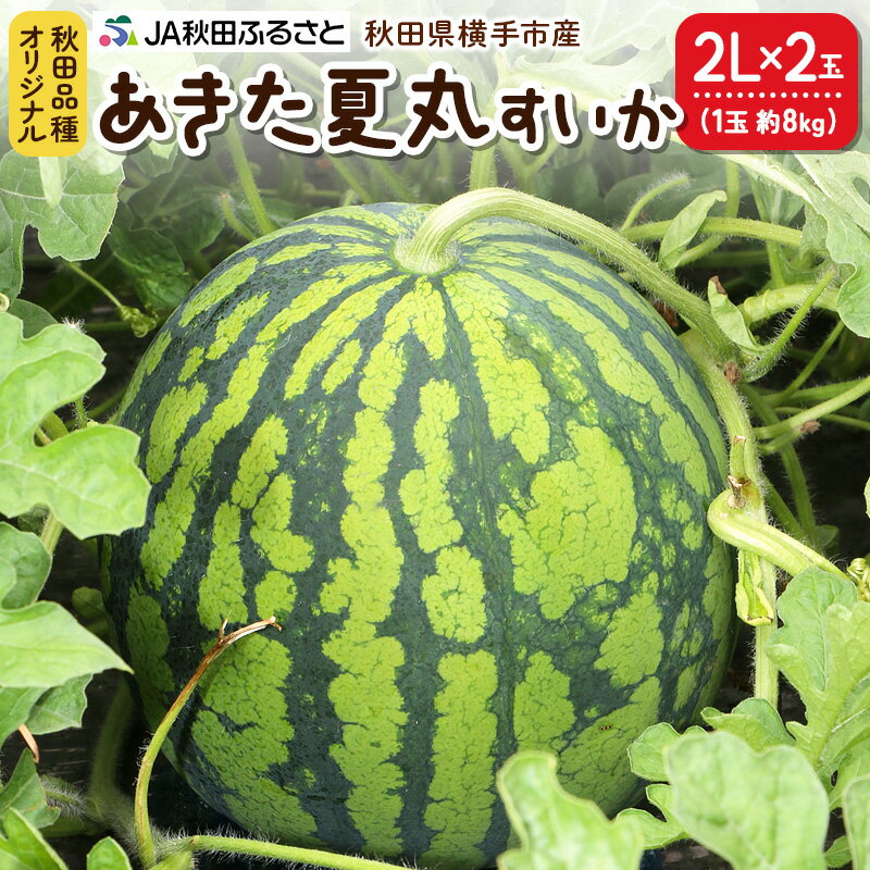 【ふるさと納税】秋田県横手市産 あきた夏丸すいか 2Lサイズ 2玉 計約8kg 