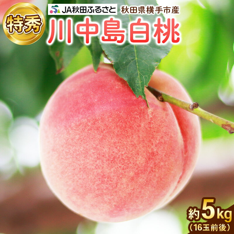 秋田県横手市産 川中島白桃 特秀 16玉前後(約5kg)