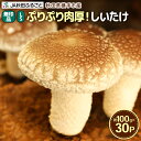 【ふるさと納税】しいたけ 無印品 LS(約100g)×30パック