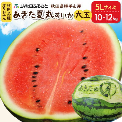 楽天ふるさと納税　【ふるさと納税】【秋田県横手市産】あきた夏丸すいか 5Lサイズ×1玉（約10～12kg）化粧箱入り