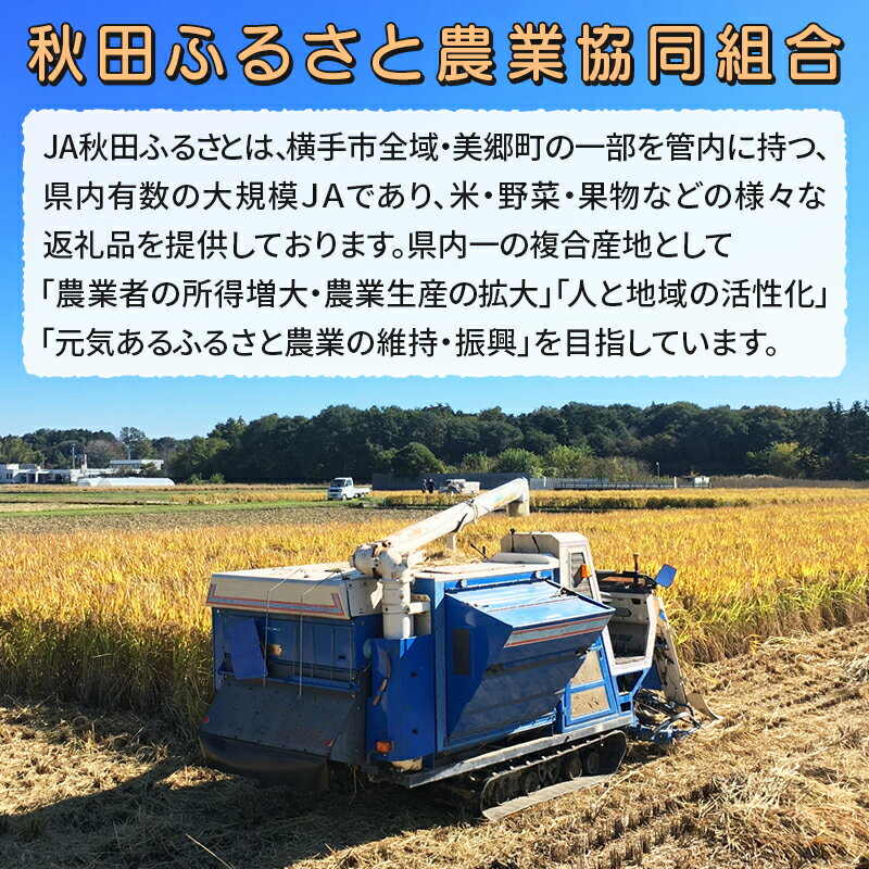 【ふるさと納税】果汁100％ JA秋田ふるさとストレートりんごジュース180g×20P