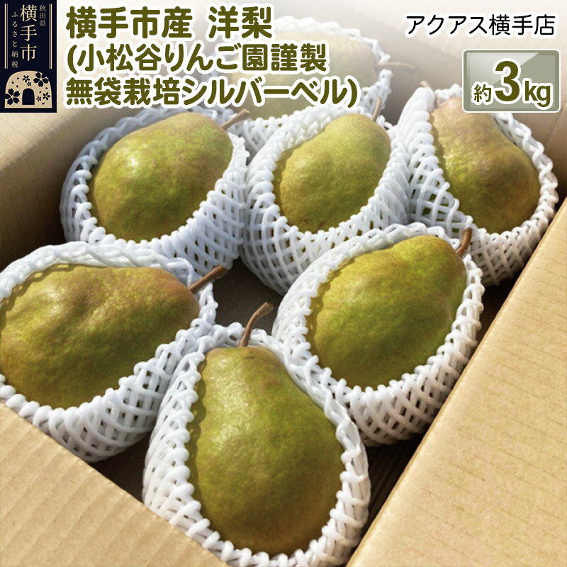 【ふるさと納税】洋梨 横手市産 小松谷りんご園謹製 無袋栽培シルバーベル 約3kgのサムネイル