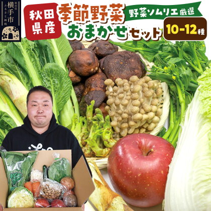 和泉青果六代目が選ぶ 秋田の季節野菜おまかせセット 10～12品目