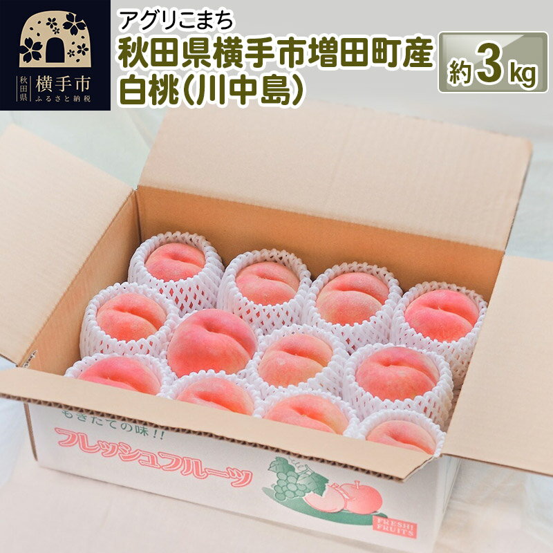 【ふるさと納税】秋田県横手市増田町産 白桃（川中島） 約3kgのサムネイル
