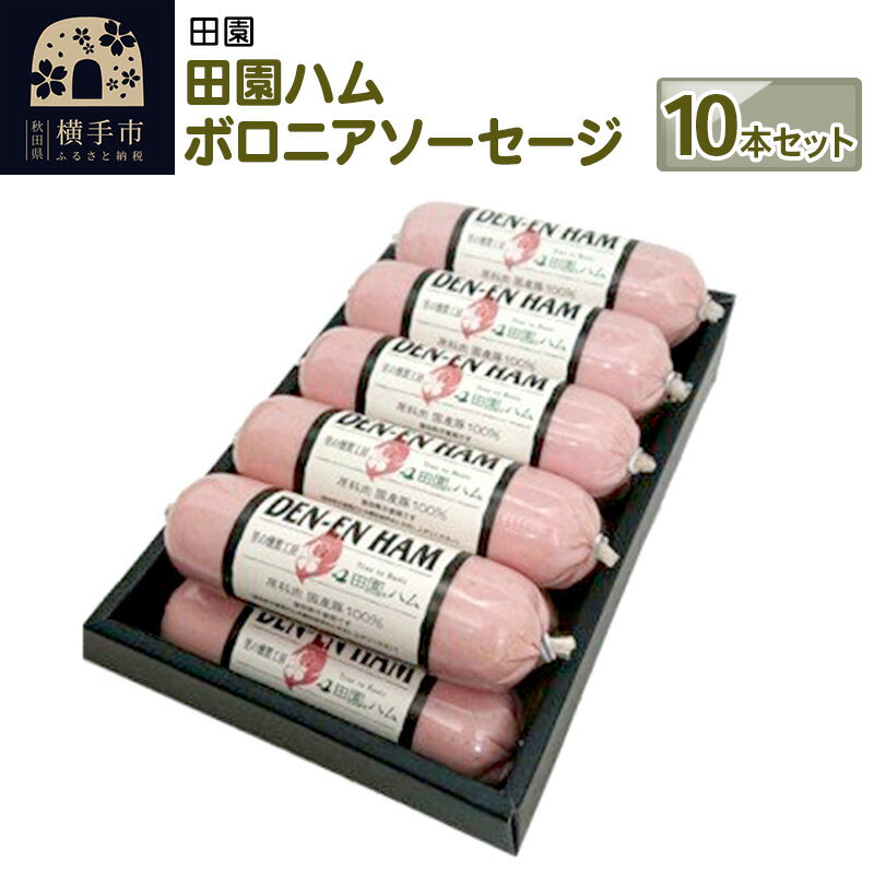 【ふるさと納税】【お中元ギフト】田園ハム ボロニアソーセージ 10本セットのサムネイル