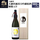 【ふるさと納税】【大納川】大納川 純米大吟醸原酒 桐箱入り 1800ml×1本