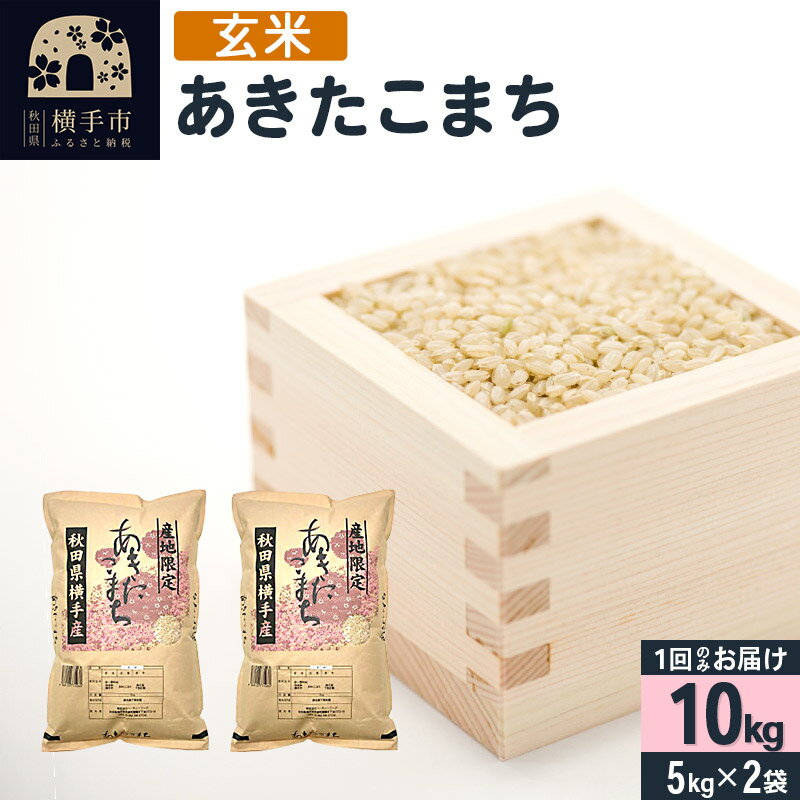 【ふるさと納税】【玄米】令和5年産 横手市産 あきたこまち 10kg(5kg×2袋)