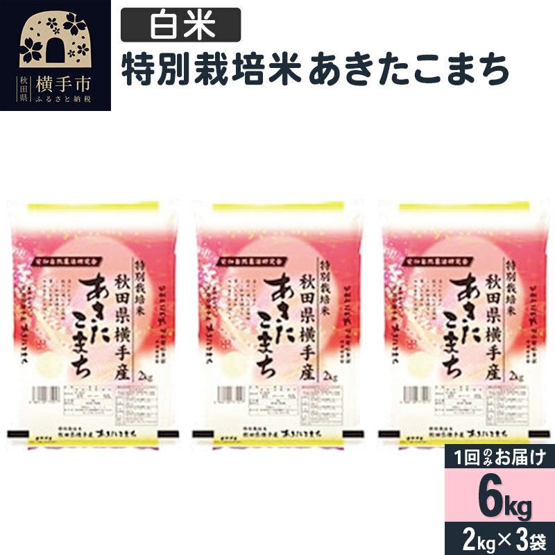 [白米]令和5年産 特別栽培米あきたこまち 6kg(2kg×3袋)