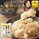 【ふるさと納税】【玄米】令和7年産 金のいぶき 6kg(2kg×3袋)
