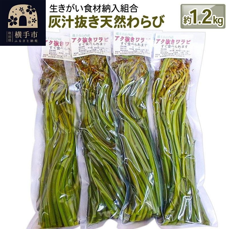 【ふるさと納税】灰汁抜き天然わらび 約1.2kg