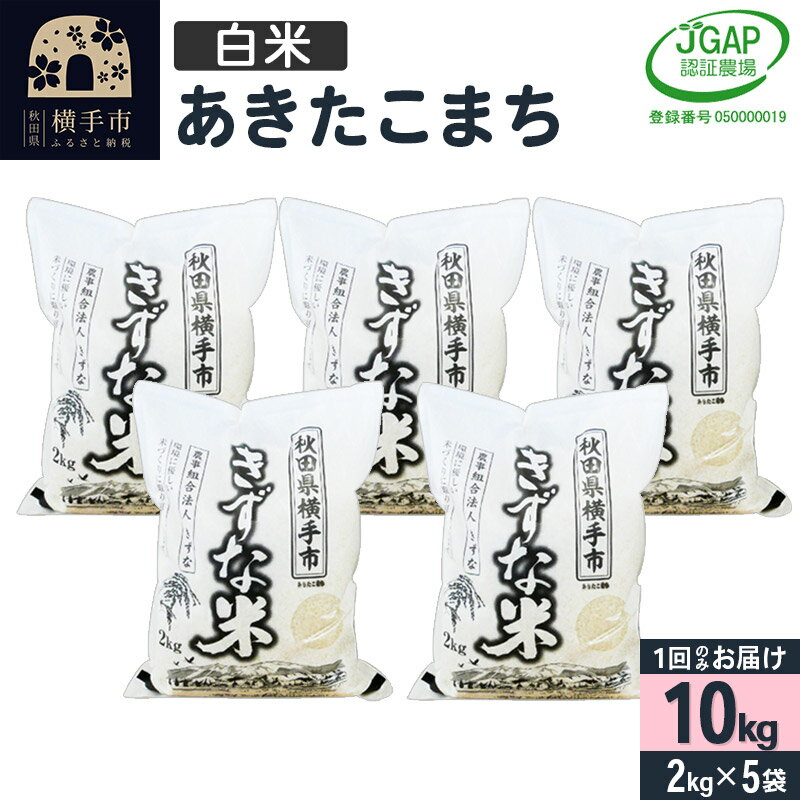 【ふるさと納税】【白米】令和5年