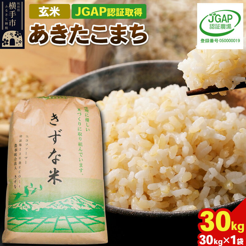 【ふるさと納税】【玄米】令和5年産 秋田県産 あきたこまち 30kg(30kg×1袋) 【JGAP認証】【秋田県特別栽培農産物認証】