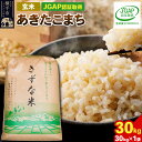 令和5年産 秋田県産 あきたこまち 30kg(30kg×1袋) 