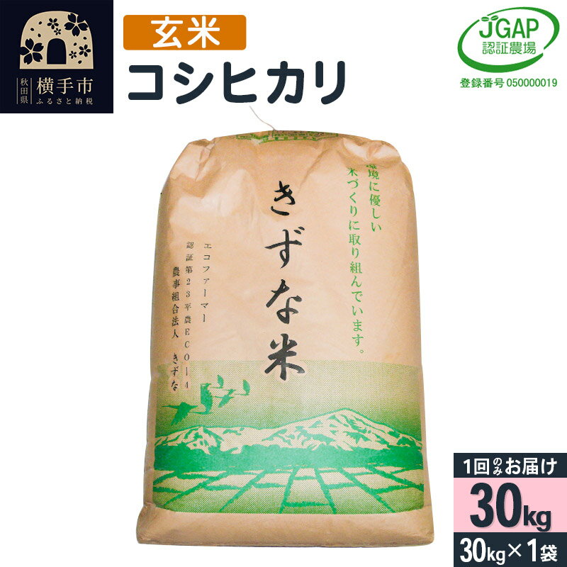 【ふるさと納税】【玄米】令和5年産 秋田県産 コシヒカリ 30kg(30kg×1袋) 【JGAP認証】【秋田県特別栽培農産物認証】