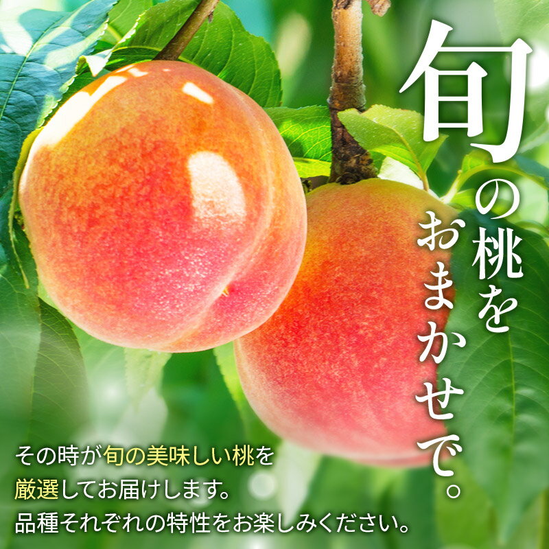 【ふるさと納税】＜先行受付 7月下旬以降順次発送＞横手産の桃（中玉）約3kg（12～13個入）