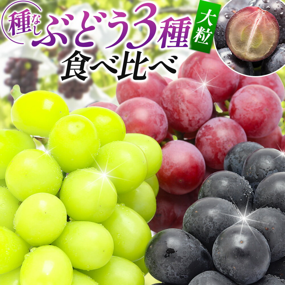 【ふるさと納税】濃甘な完熟葡萄 横手市大沢地区産 旬な種無し大粒品種ぶどう 3種類詰合せ ぶどう ブトウ 種なし 詰め合わせ 食べ比べ フルーツ 果物 秋田のサムネイル