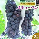 9月下旬より発送 濃甘な完熟葡萄 横手市大沢地区産 ぶどう スチューベン 約2kg