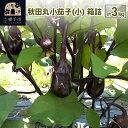 【ふるさと納税】秋田丸小茄子(小)3kg 箱詰