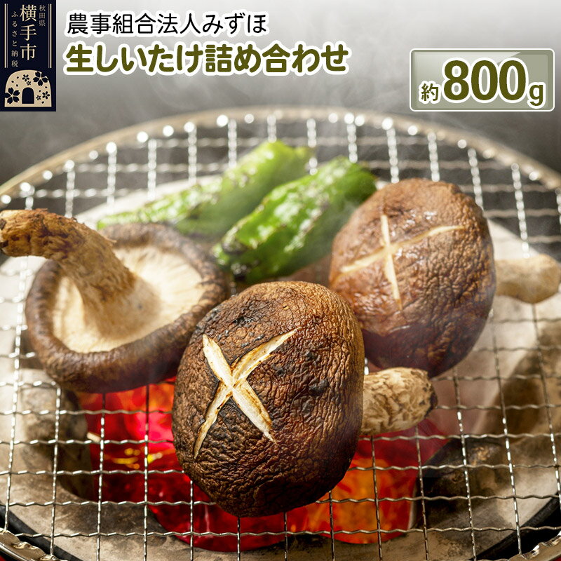 3位! 口コミ数「1件」評価「5」生しいたけ詰め合わせ 800g