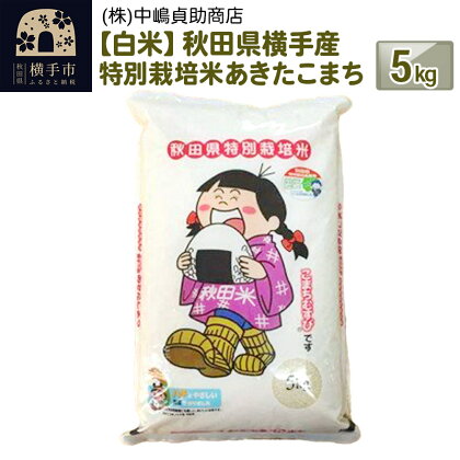 【白米】令和5年産 秋田県横手産特別栽培米あきたこまち 5kg(5kg×1袋)