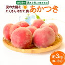 【ふるさと納税】《先行受付!8月上旬より順次発送》夏の太陽をたくさん浴びた桃 あかつき 約3kg(9~13玉前後)