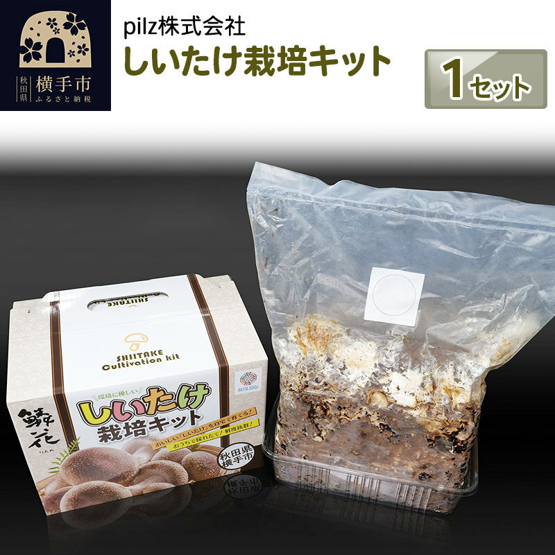 24位! 口コミ数「0件」評価「0」ご自宅でブランド椎茸を栽培！しいたけ栽培キット