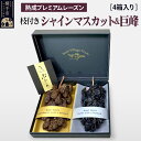 【ふるさと納税】熟成プレミアムレーズン 枝付きプレミアムセット(シャインマスカット&巨峰) 4箱セット