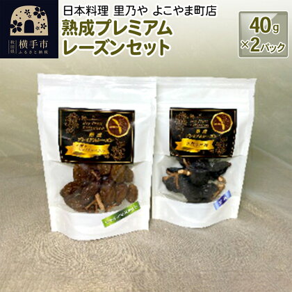 熟成プレミアムレーズンセット 40g×2パック