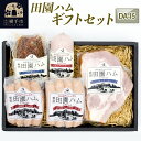 【ふるさと納税】<お中元 ギフト>田園ハム ギフトセット【DA-I5】