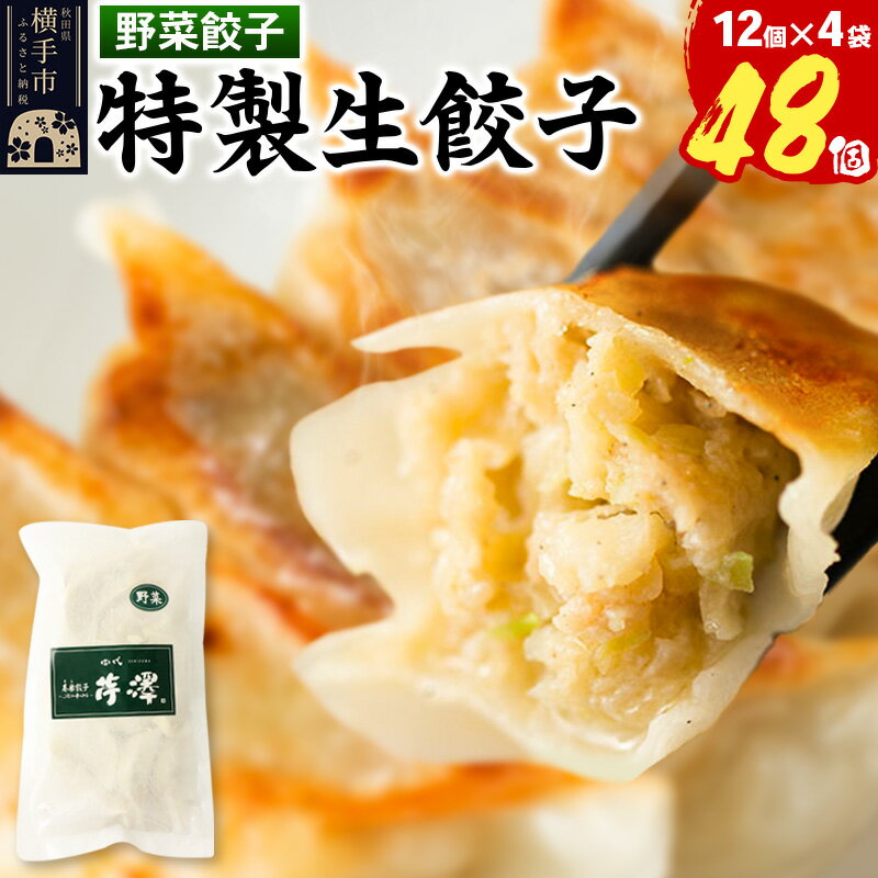 【ふるさと納税】野菜餃子（豚肉）12個入×4袋