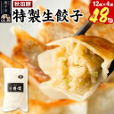 【ふるさと納税】小籠包のような肉餃子(豚肉使用)12個入×4袋
