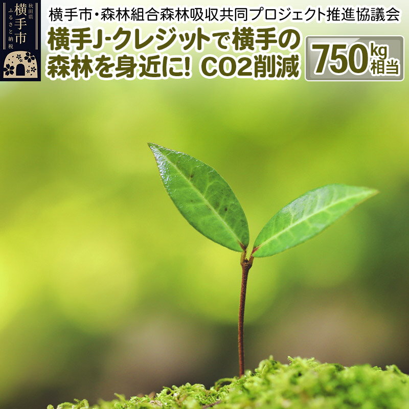 【ふるさと納税】横手J‐クレジットで横手の森林を身近に! CO2削減 750kg相当