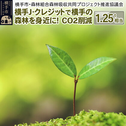 横手J‐クレジットで横手の森林を身近に! CO2削減 1.25t相当