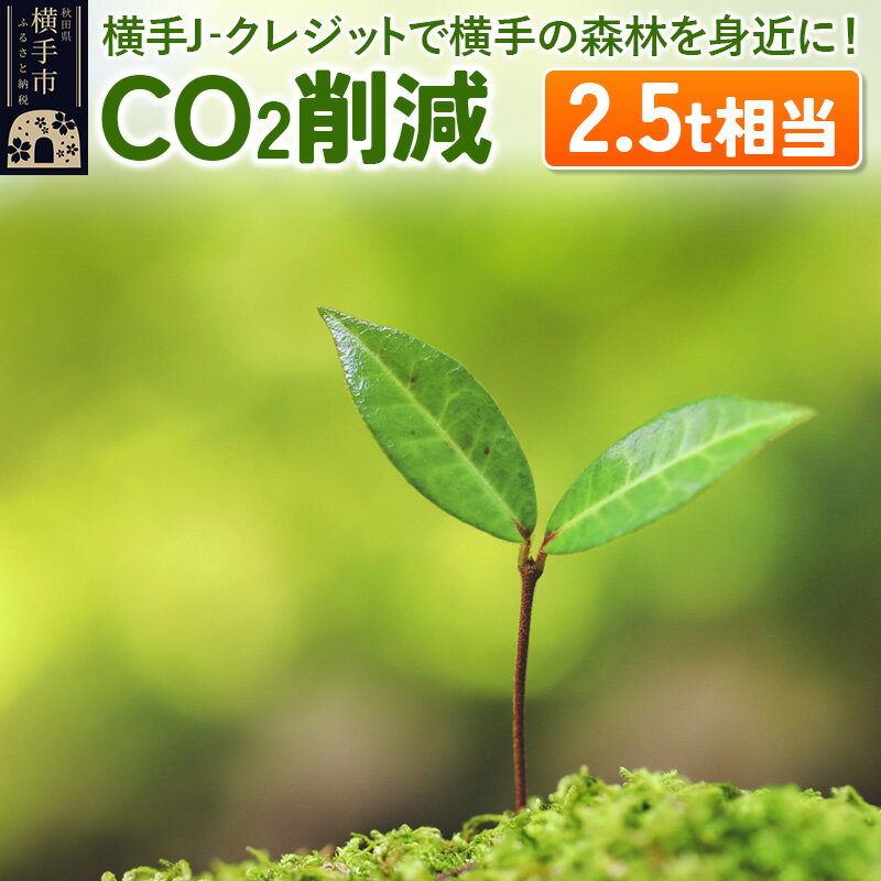 横手J‐クレジットで横手の森林を身近に! CO2削減 2.5t相当