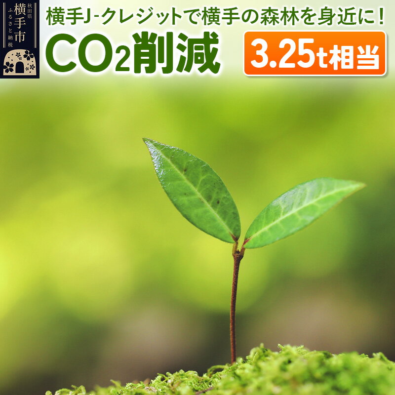 ڤդ뤵Ǽǡ۲J쥸åȤǲοӤȶ! CO2︺ 3.25t
