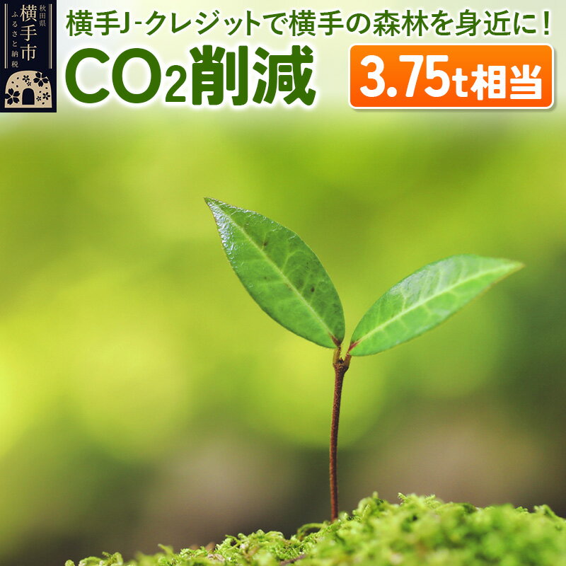 【ふるさと納税】横手J‐クレジットで横手の森林を身近に! CO2削減 3.75t相当